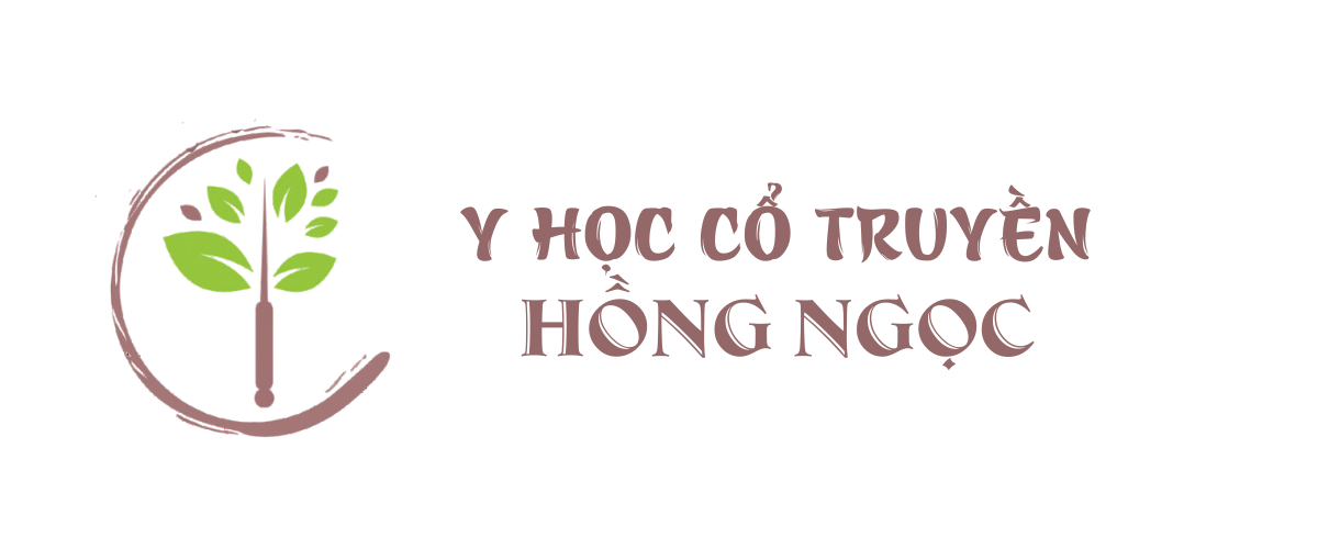 Logo website Bs Võ Thị Hồng Ngọc