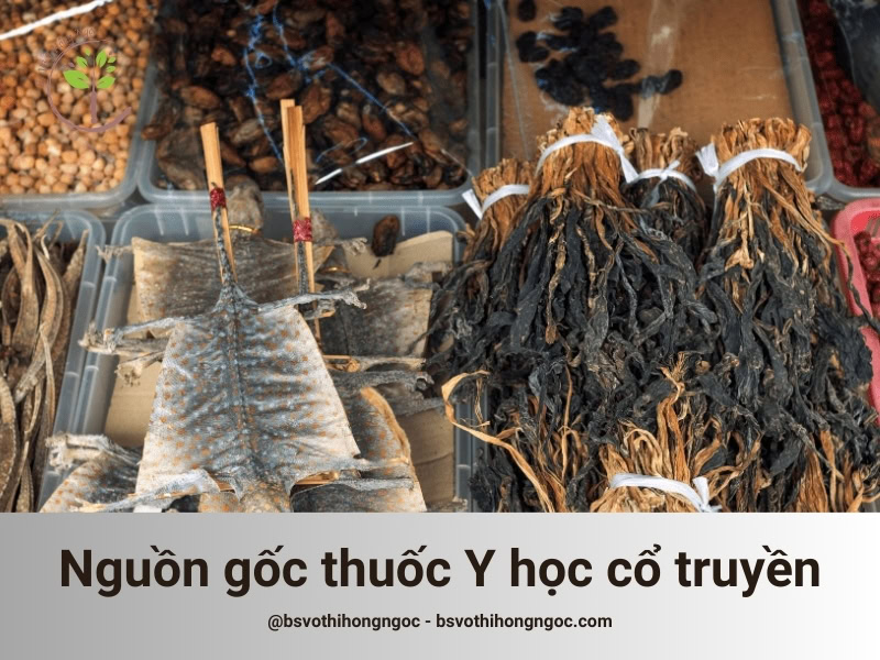 Nguồn gốc thuốc Y học cổ truyền (Đông Y)