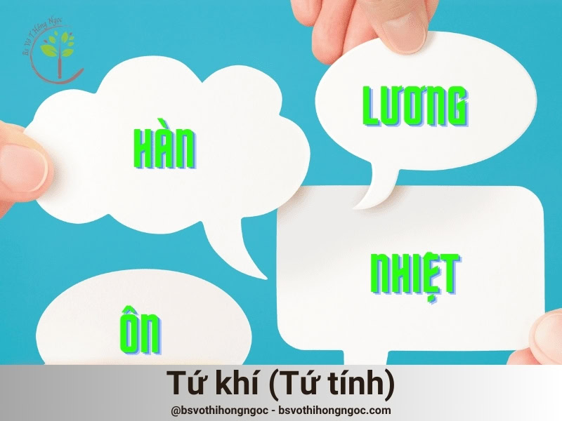 Tứ khí (Tứ tính)