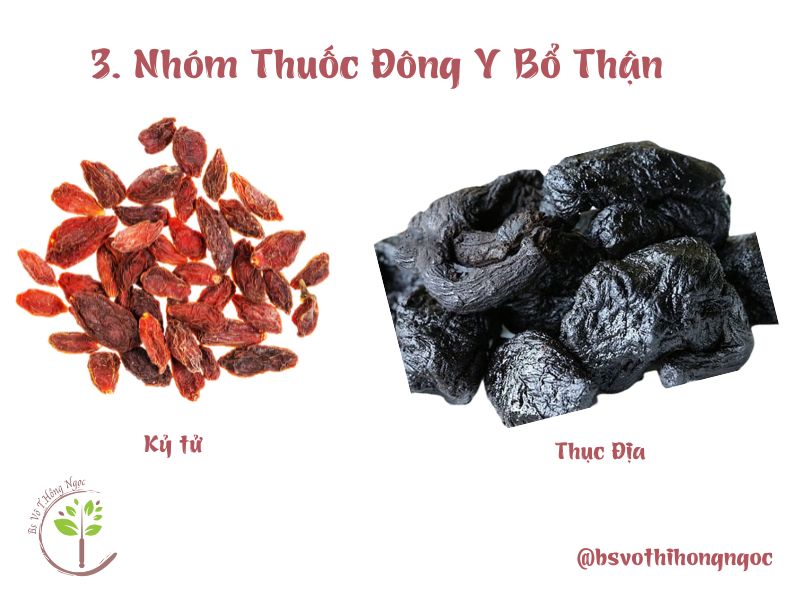 Nhóm thuốc bổ thận