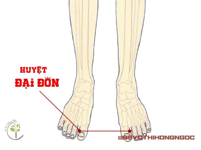 Huyệt đại đôn đối xứng hai bên chân