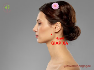 Huyệt giáp xa: Tên gọi, xuất xứ, vị trí, chủ trị