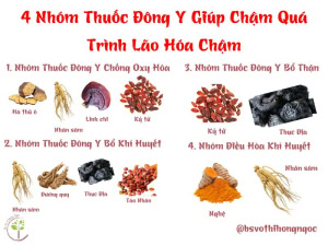 4 nhóm thuốc đông y giúp làm chậm quá trình lão hóa, oxy hóa hiệu quả