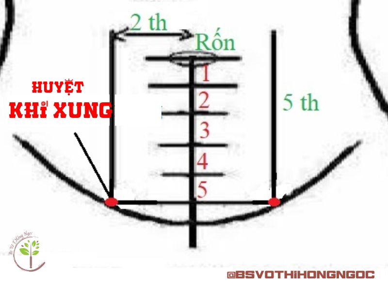 Vị Trí Huyệt Khí Xung